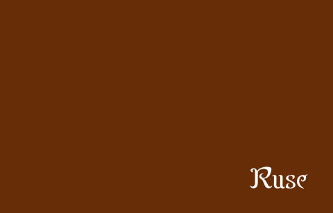 2005 Seiko Ruse cover